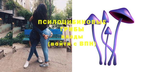 твердый Киреевск