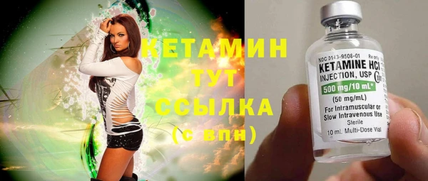 индика Козловка