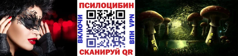 Галлюциногенные грибы Psilocybe  Купить  Макушино 